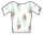Peacock Jersey