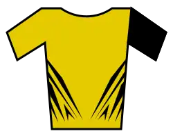 Yellow zebra jersey