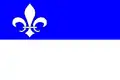 Flag of Jiřetín pod Jedlovou