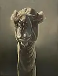 Portrait of a camel in Algeria, 1838/39, Winterthur Museum of Art