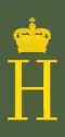 Insignia for conscripts in the Jutland Dragoon Regiment