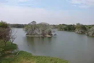 A small round island with trees in the middle of a large body of water, with more trees on the shore on either side