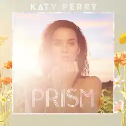 Perry standing in a field of flowers