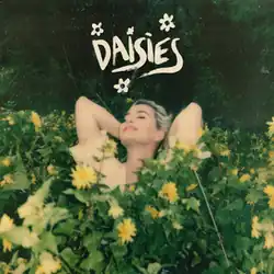 Perry laying down in a field of daisies