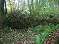 The main surviving retaining wall of the pit with the collapsed wall in the foreground