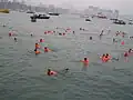 Korean farmers protesting in water