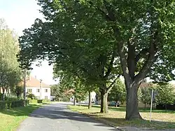 Centre of Krakovany