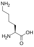 Unmethylated lysine
