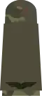 a. Flieger OR1 (flecktarn uniform – Luftwaffe)