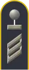 Hauptgefreiter UA (Luftwaffe, service uniform)