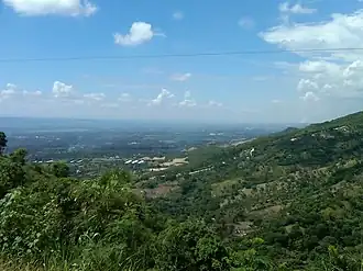 Hispaniolan moist forests, hills north of Santiago de los Caballeros, Dominican Republic and Haiti
