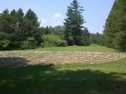 Labyrinth