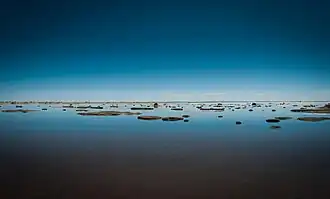 The lake