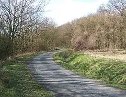 Brent Eleigh Woods