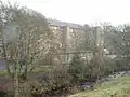 Lappet Mill