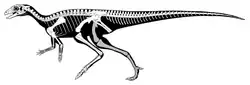 Life reconstruction