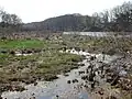 Lawrence Brook in East Brunswick