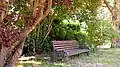Bench in the park