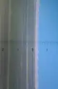 Magnified view of leaf; 0 to 1 = 1&nbsp;mm; the saw-like edge can cut human skin