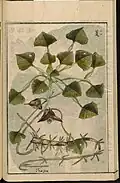 1804 Japanese agricultural encyclopedia Seikei Zusetsu