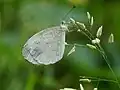 In Areekode, Kerala, India