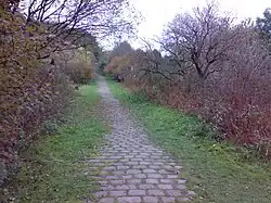 The cobbled access road to the works, still in excellent condition although slightly overgrown.