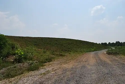 Reclaimed mine land