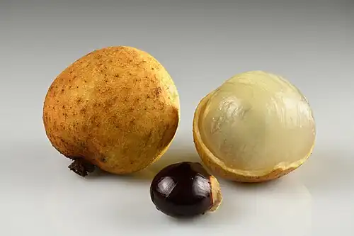 Fruits with seed