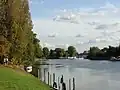 Image 29The lower end of the Staines-upon-Thames reach of the Thames, showing typical trees of the next reach and Penton Hook Island, a small nature reserve. (from Portal:Surrey/Selected pictures)