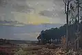 Landscape with pine forest