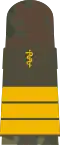 Mounting loop