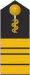 Flottillen­arzt