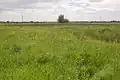 Meadow at Magor Marsh