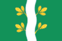 Flag of Mayna
