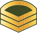 ސްޓާފް ސާރޖަންޓް Staaf saarjant (Maldives National Defence Force)[33]