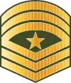 ސާރޖަންޓް މޭޖަރ Saarjant meyjar (Maldives National Defence Force)[30]
