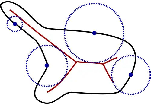 Medial axis-base definition.