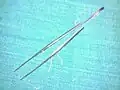 Long dissecting forceps