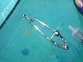 Universal eye speculum