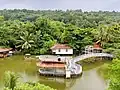 Fish feeding bridge