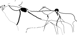 Tracings of male and female Irish elk cave art from Cougnac Caves.