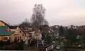 Miškiniai