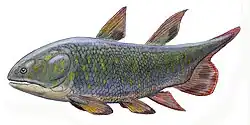 Miguashaia sp.