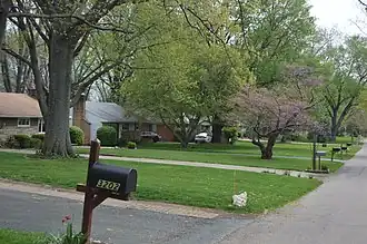 Houses in Minerva Park, a village in the Northland area