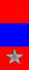 239th, 240th Regiment "Pesaro"