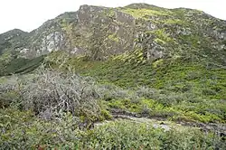 Mt. Merapi, Ijen