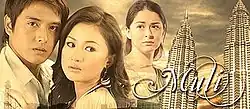 An image of Alfred Vargas, Carrie Lee Sze Kei, Marian Rivera and Petronas Towers. The series title is displayed on the right side of the image.