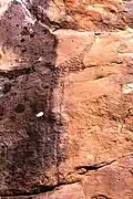 Petroglyph of a brolga in Wilyakala country