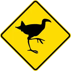 Watch for animals (pūkeko)