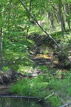 Nanticoke Creek, Hanover Township